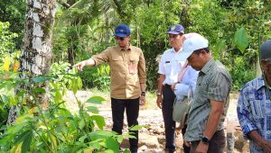 Terjun Langsung Serahkan Bibit Unggul, Ahmad Muzakkir: Kita Juga Bakal Optimalkan Karet Lokal