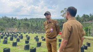 Disbun Kaltim Dorong Produktifitas Perkebunan Rakyat, Siapkan 50 Ribu Benih Unggul