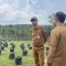 Kadis Perkebunan Kaltim Ahmad Muzakir saat monitoring lokasi pembibitan di Kukar (dok: Katasatukaltim)