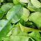 Daun Jeruk Purut. (dok. ist)