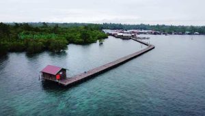 Pulau Miang, Surga Bawah Laut Kalimantan Timur…
